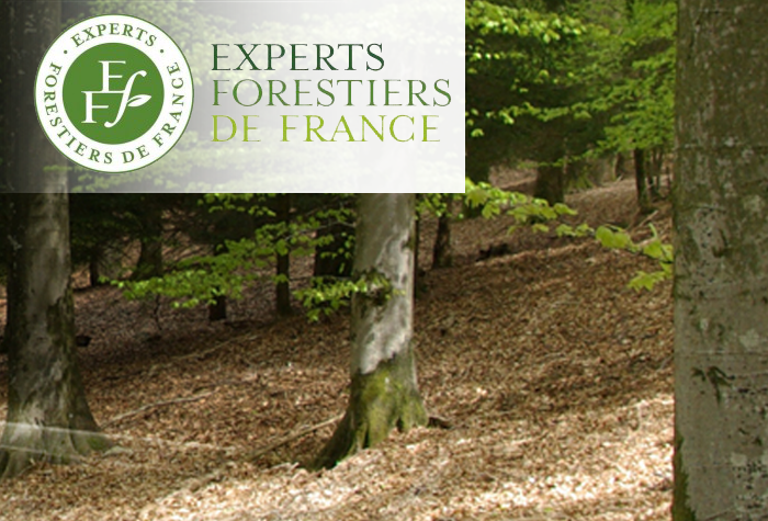 Experts Forestiers de France